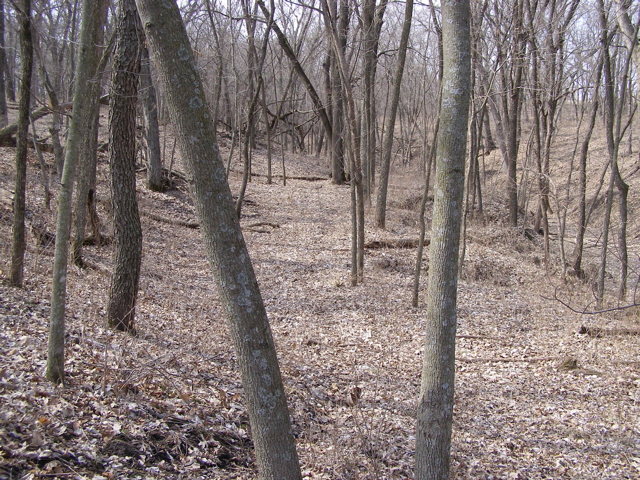 P3260798.JPG