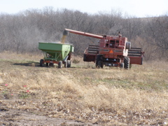 PB033481.JPG