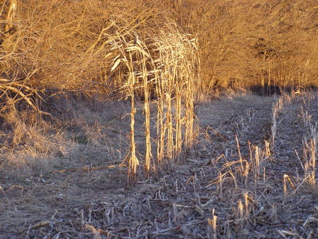 PC103718.JPG
