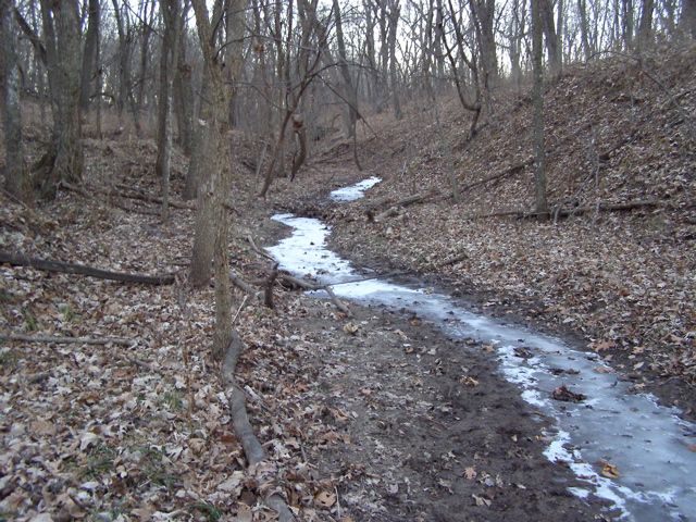 PC103737.JPG