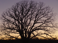 PC103768.JPG