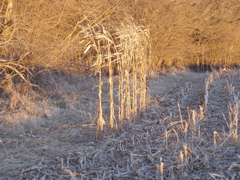 PC103718.JPG