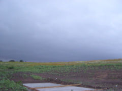P7142509.JPG