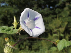 P8202790.JPG
