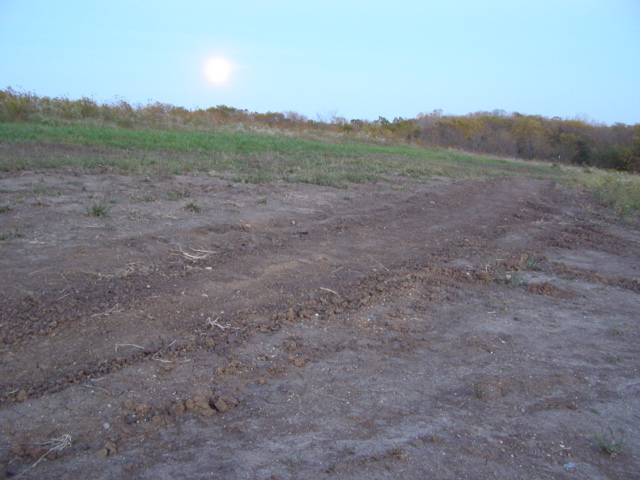 PA073340.JPG